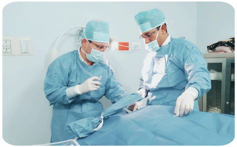 Trasplante Renal Realizando un transplante en el Centro Médico de Especialidades Cardiorenal